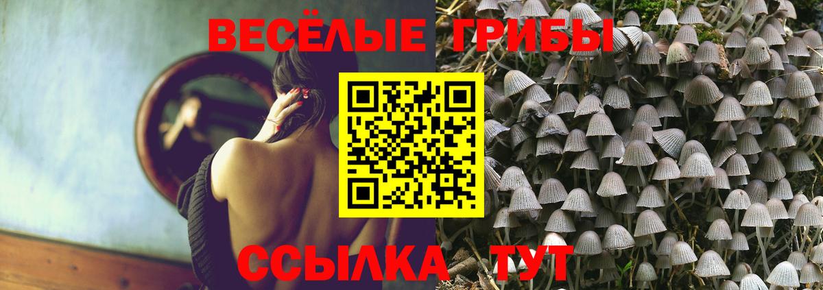 Галлюциногенные грибы MAGIC MUSHROOMS  Вход с VPN  Кандалакша 